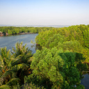 foret-de-mangrove-krong-koh-kong-cambodge