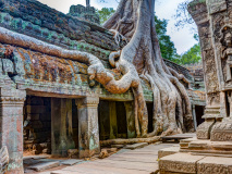 angkor-wat