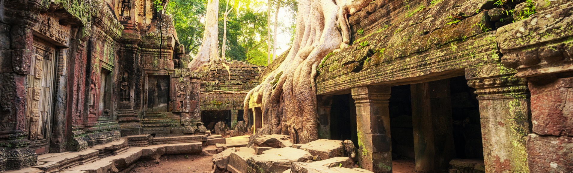 ta prohm temple racines