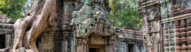 angkor temple racines