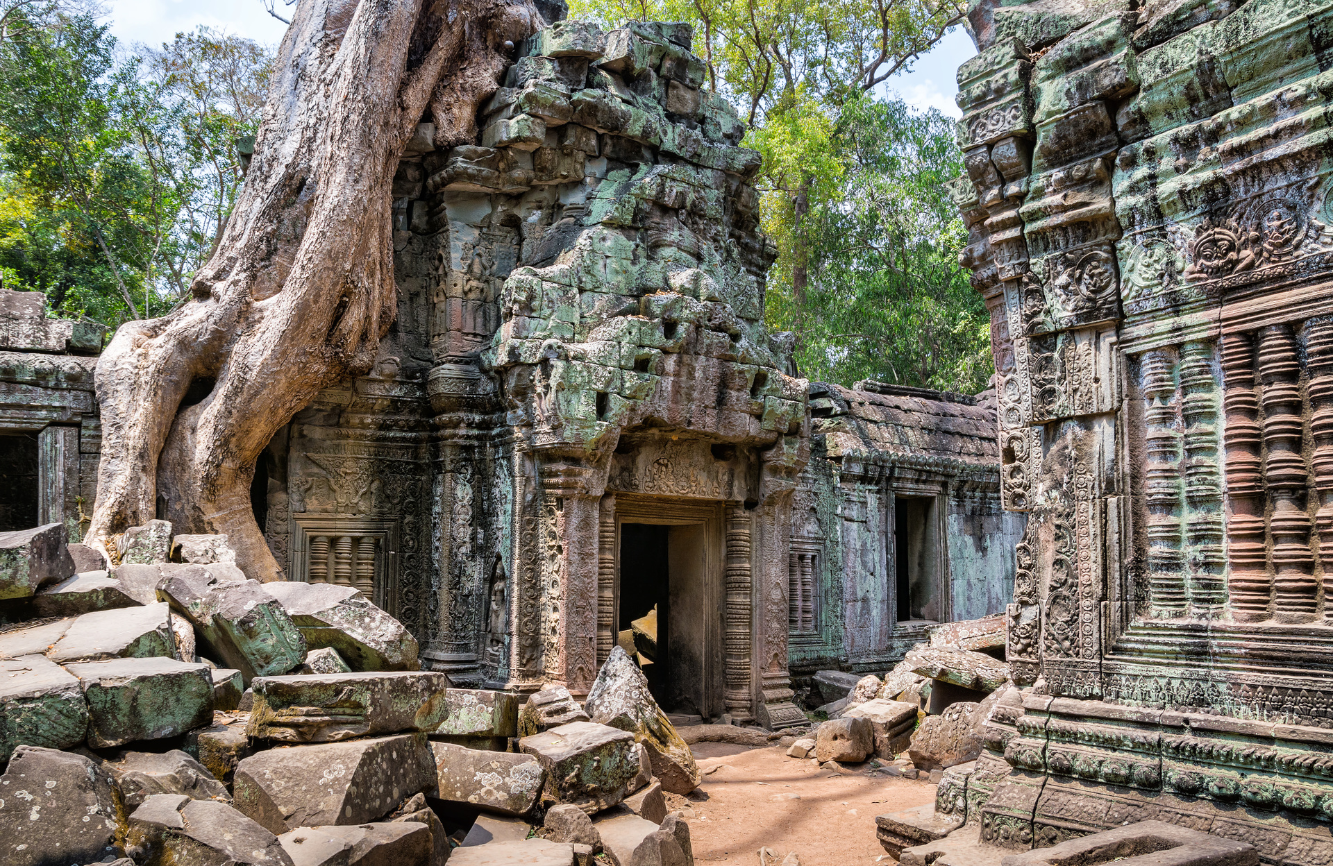 angkor temple racines