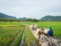 chau doc campagne croisiere vietnam