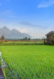 vang vieng paysage riziere laos