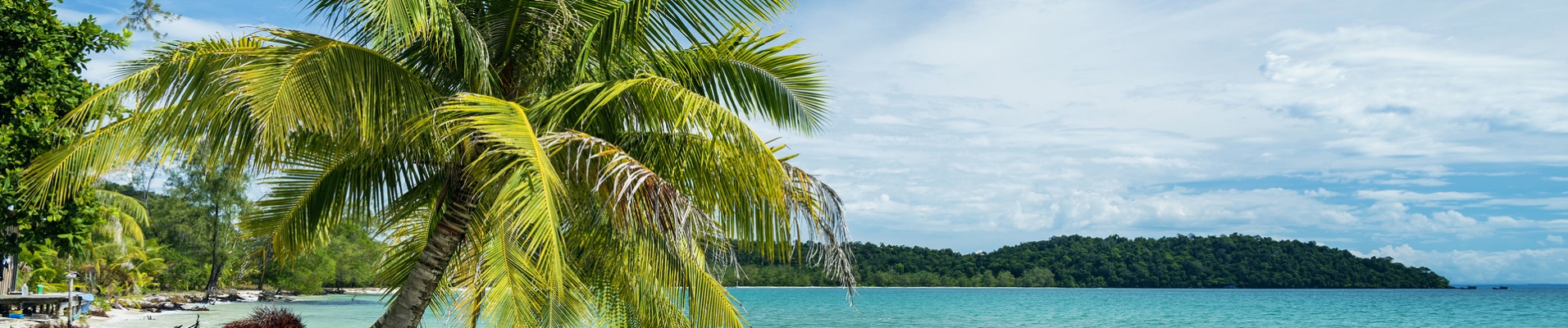 koh rong palmier plage