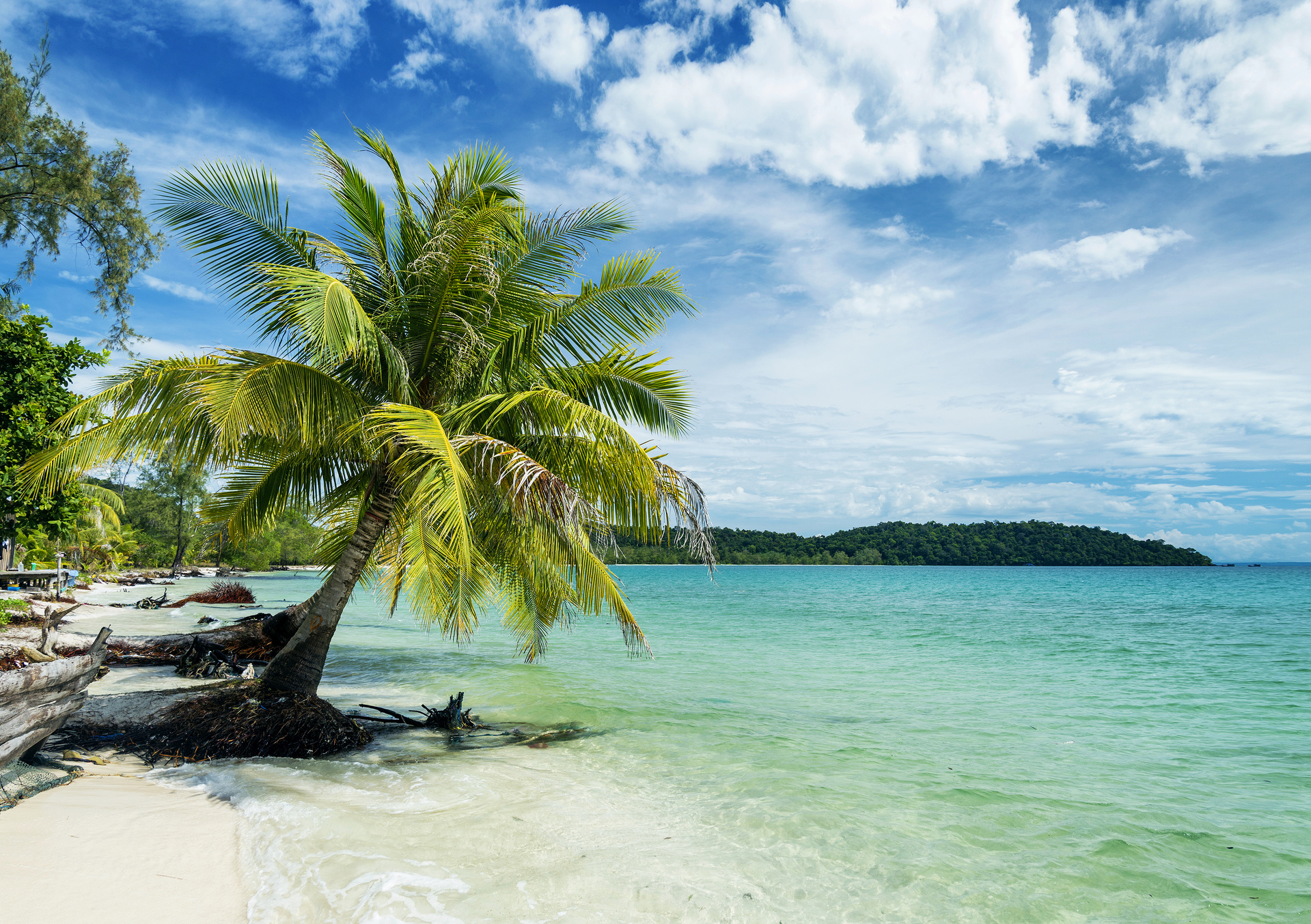 koh rong palmier plage