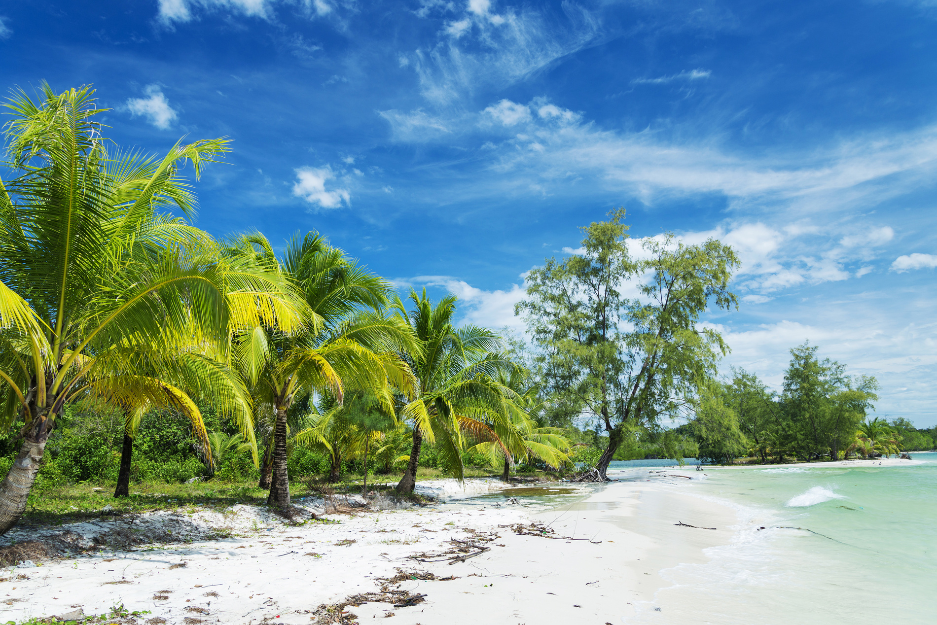 sud cambodge iles plage koh rong palmiers