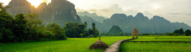 vang vieng laos rizieres