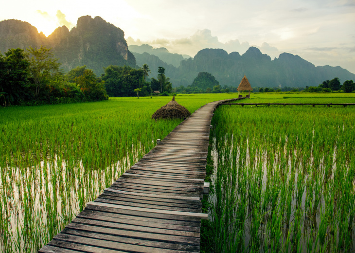 vang vieng laos rizieres