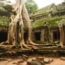 ta prohm cambodge temple