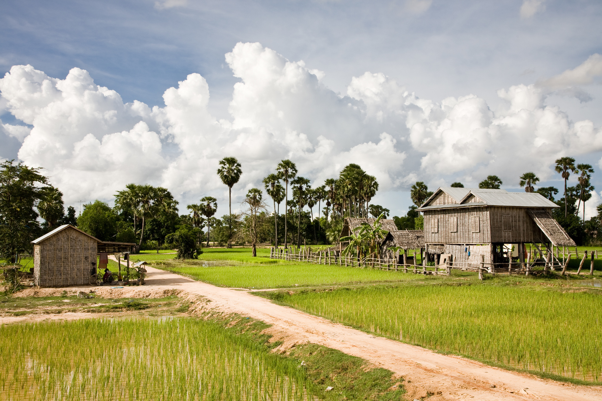 Battambang