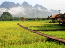 Rizieres à Vang Vieng