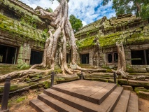 Temple Ta Prohm Prasat