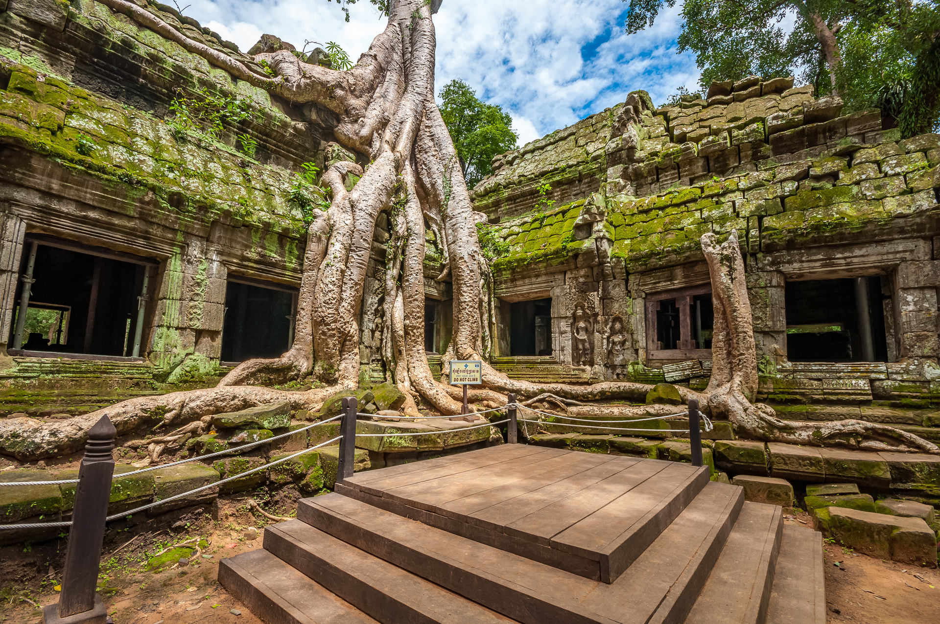 Temple Ta Prohm Prasat