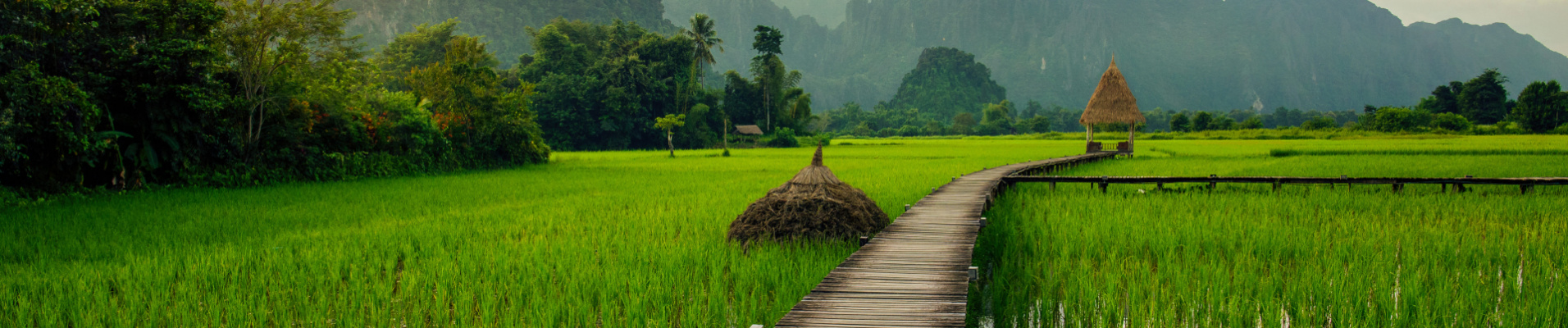 circuit-cambodge-laos