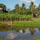 battambang-cambodge