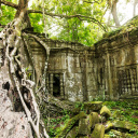 ruines-du-temple-beng-mealea-cambodge